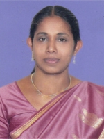 No Image Uploaded