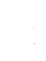 No Image Uploaded